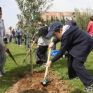700 δένδρα φυτεύτηκαν στα πεζοδρόμια της Αθήνας