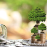 Citi, Société Générale: To ESG αποτελεί το απόλυτο trade – 51+43 πράσινες μετοχές που θα τρέξουν