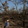 ΟΗΕ: 500 εκατ. δολάρια για τη σωτηρία των τροπικών δασών
