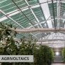 Αγροβολταϊκά: Αύξηση Παραγωγής και Εξοικονόμηση ενέργειας, γης και φυσικών πόρων