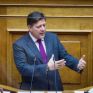 Βαρβιτσιώτης: Δεν υπάρχουν σχέδια κατασκευής τερματικών σταθμών LNG στα Ναυπηγεία Σκαραμαγκά - Απάντηση στον Δήμαρχο Χαϊδαρίου