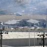 Κύπρος: Ξεκίνησε η μεταφορά των πρώτων γεννητριών από την Ελλάδα