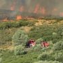 Μέχρι τον Ιούλιο κάηκαν 30% περισσότερες εκτάσεις από τον ετήσιο μέσο όρο