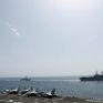 Τραμπ: Το Πολεμικό Ναυτικό των ΗΠΑ ξεκινά από σήμερα να συνοδεύει πλοία που έχουν εγκλωβιστεί στα Στενά του Ορμούζ 