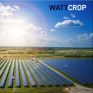 Wattcrop: COP 28 - Η αναγκαιότητα της ενεργειακής μετάβασης!