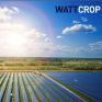 Νέα έργα ΑΠΕ προς εξαγορά αναζητά η Wattcrop ανά την Ελλάδα, μετά την ολοκλήρωση της συνεργασίας με την Cero Generation 