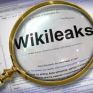 WildLeaks, το «Wikileaks» των οικολογικών εγκλημάτων