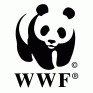 Κατά της υπεραλίευσης των θαλασσών η WWF