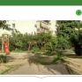 WWF: Εκστρατεία «ανακατάληψης» των πράσινων οάσεων των πόλεων