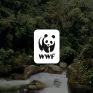 WWF: Ενώνουμε δυνάμεις για το κλίμα - Κάλεσμα για τη συνδιαμόρφωση πρότασης κλιματικού νόμου