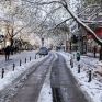 ΔΕΔΔΗΕ: Δώσαμε ρεύμα στο 95% των περιοχών που αντιμετώπιζαν προβλήματα ηλεκτροδότησης - Στην Ανατ. Αττική συνεχίζουν τα προβλήματα