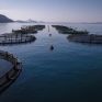 ΥΠΕΝ: Ανοίγει ο δρόμος για νέες επενδύσεις στην υδατοκαλλιέργεια