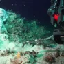 Άγνωστα μέχρι σήμερα υποθαλάσσια υδροθερμικά πεδία αποκαλύπτει έρευνα στη Μήλο